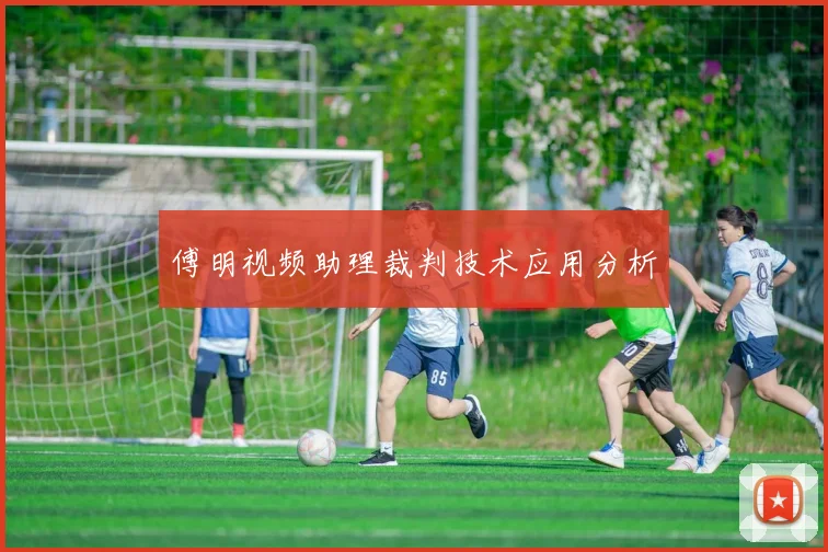 傅明视频助理裁判技术应用分析